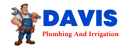 Trusted plumber in COCHRANVILLE